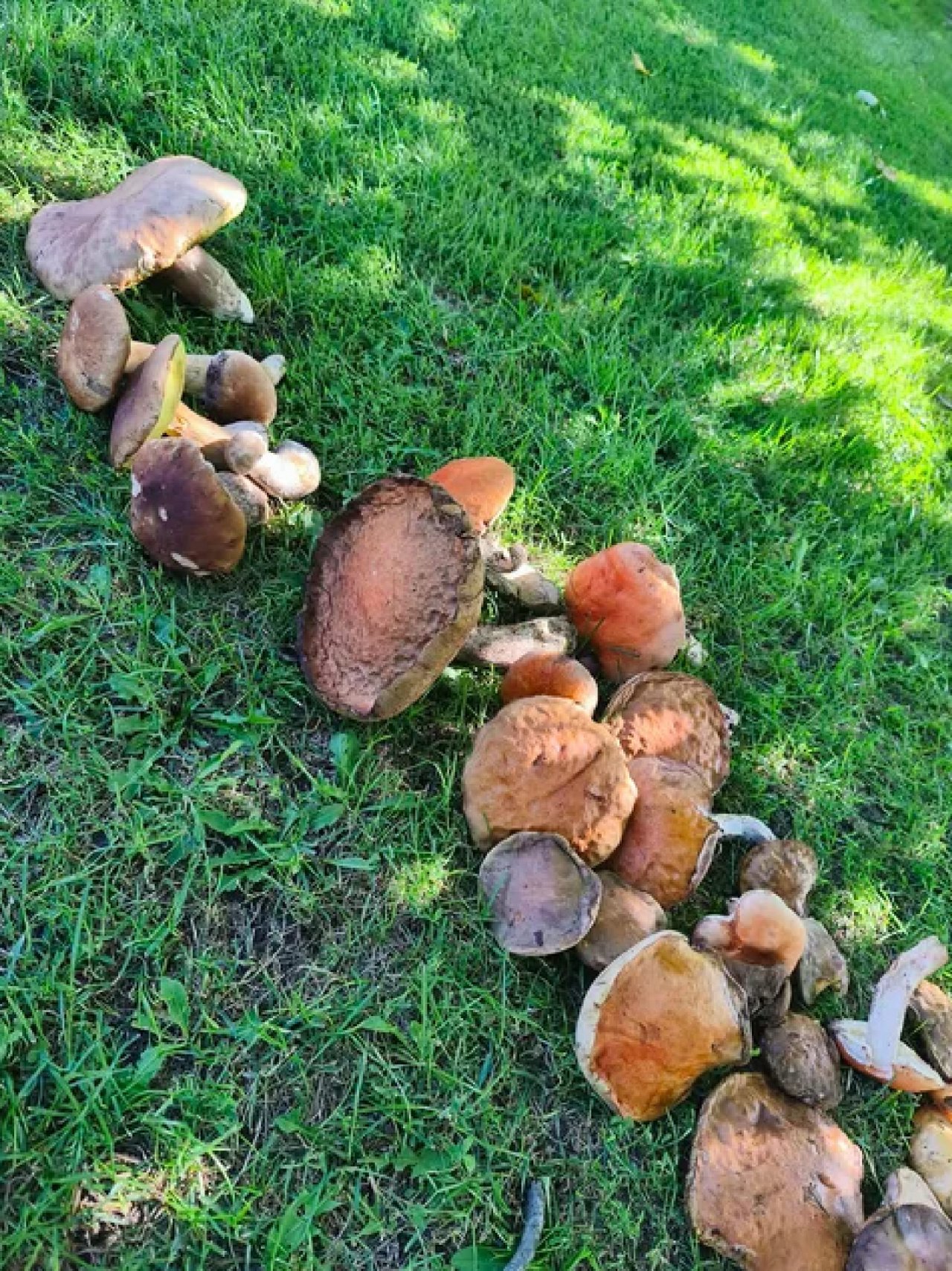 143f81