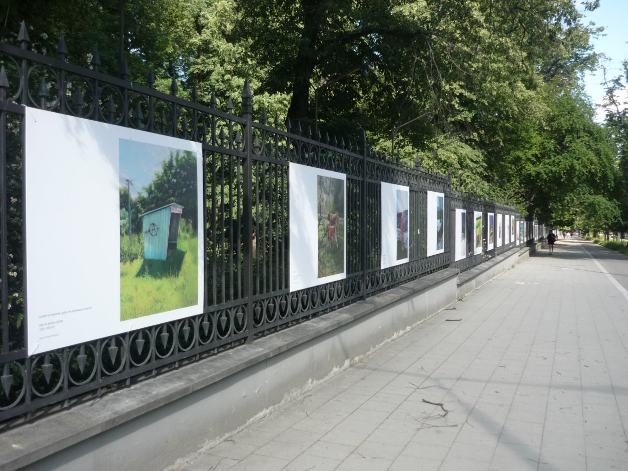 P1300096