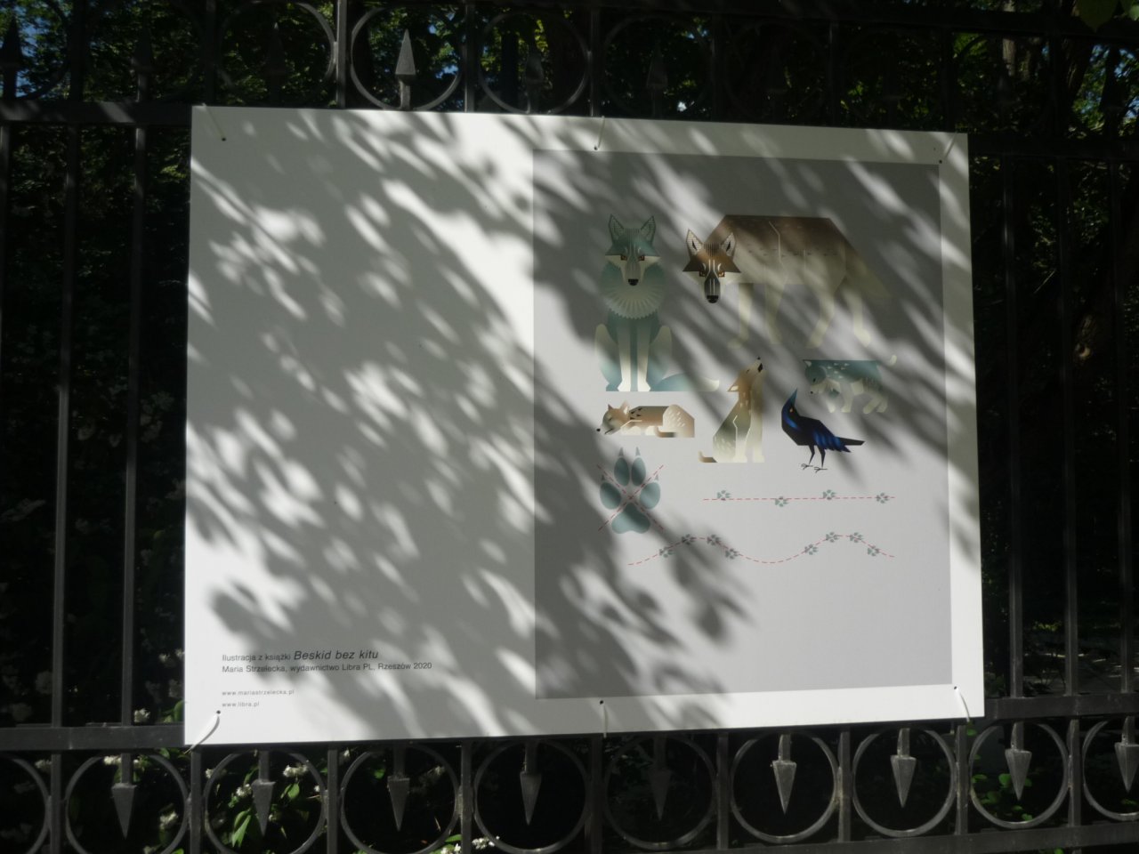 P1300123