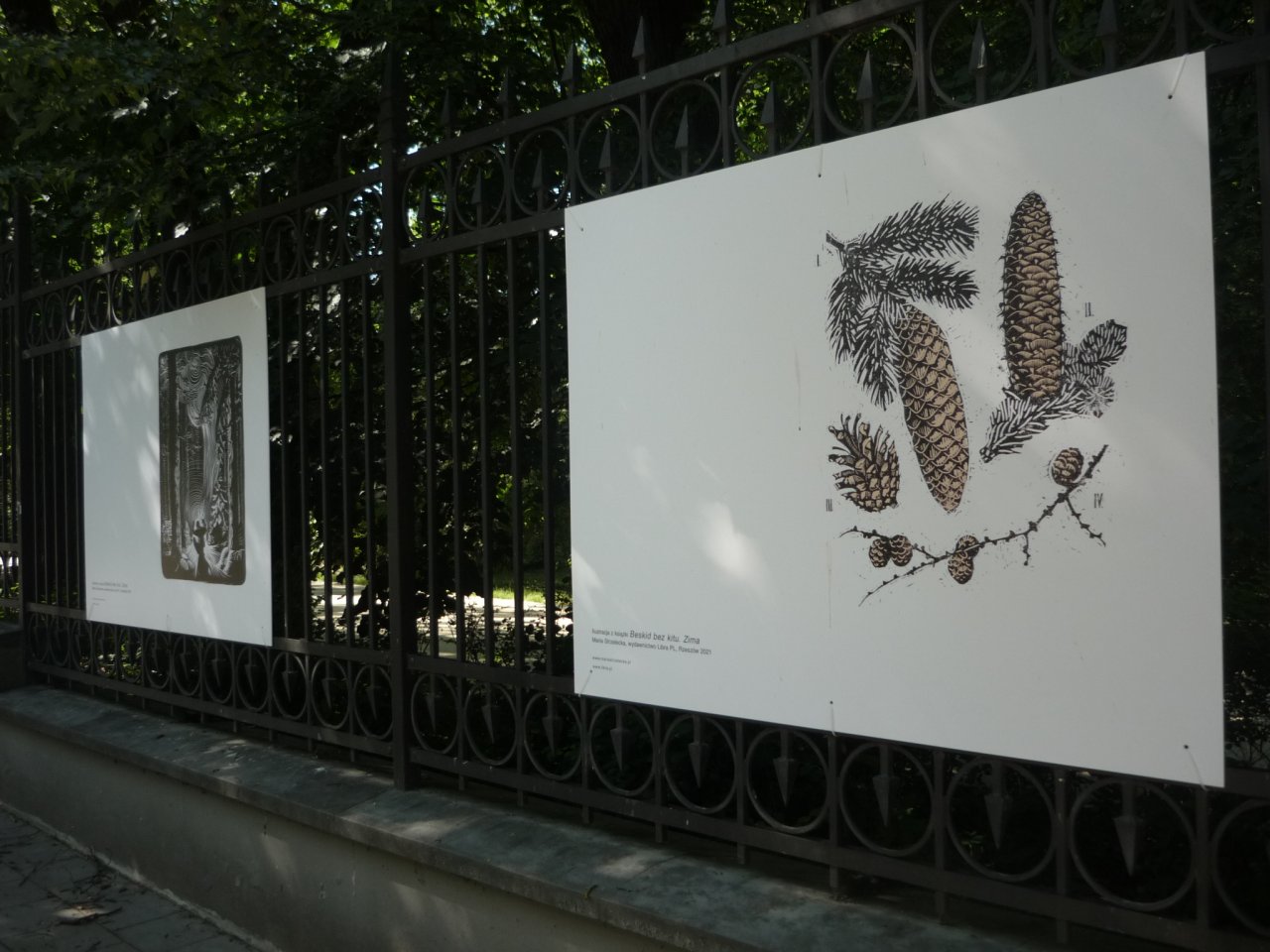 P1300132