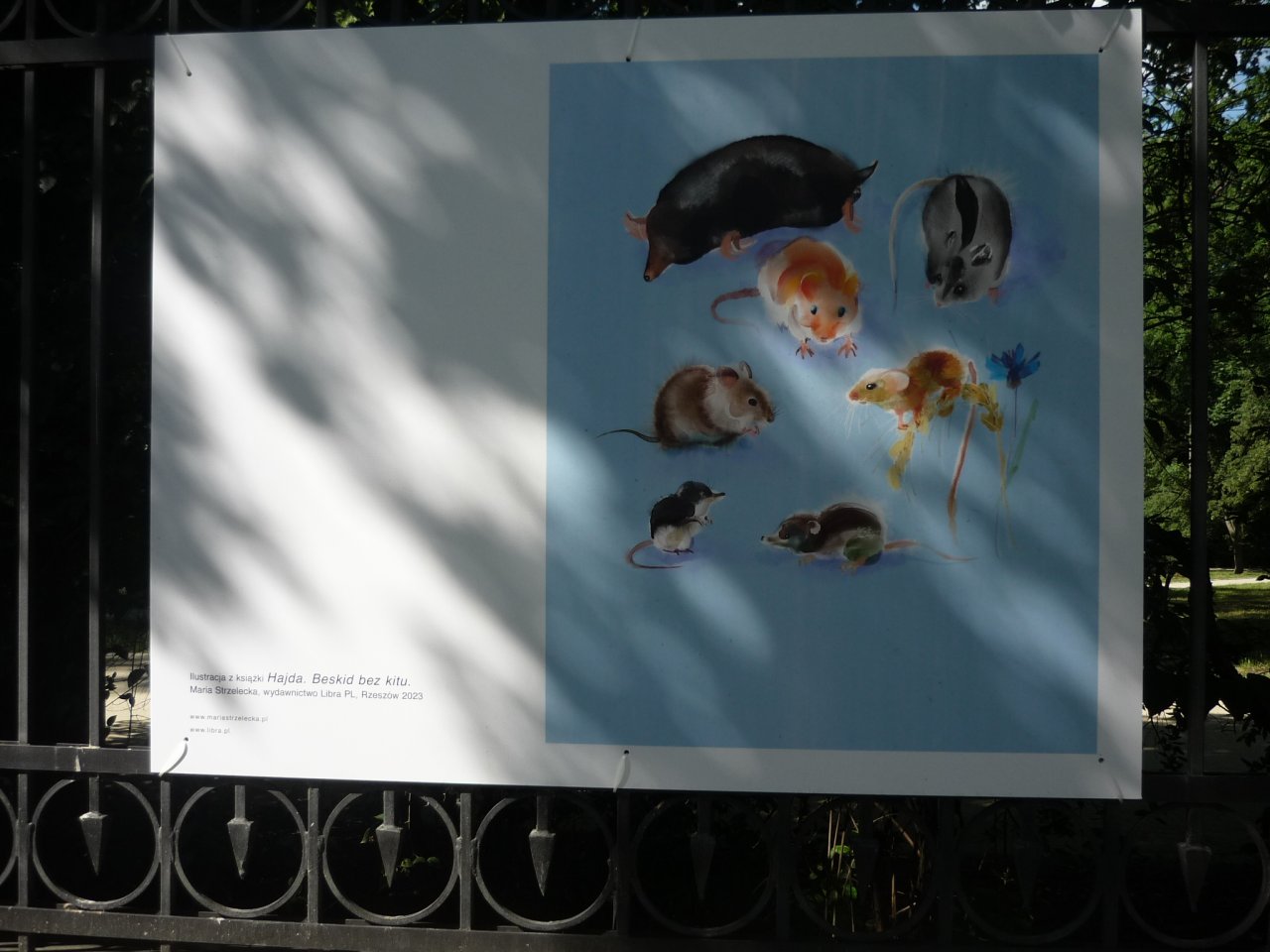 P1300140