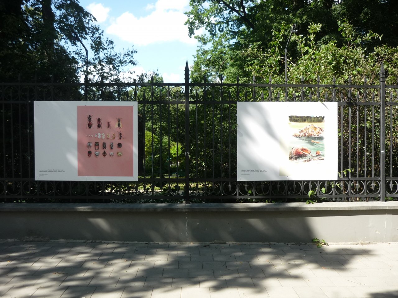 P1300142
