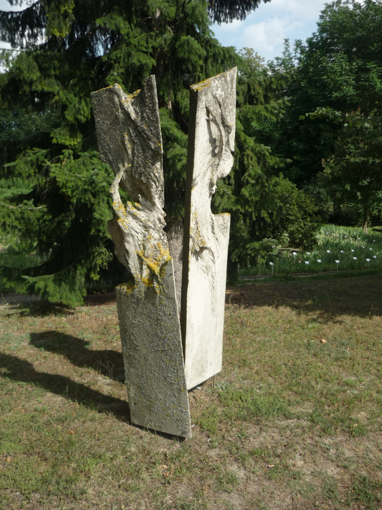 P1300696