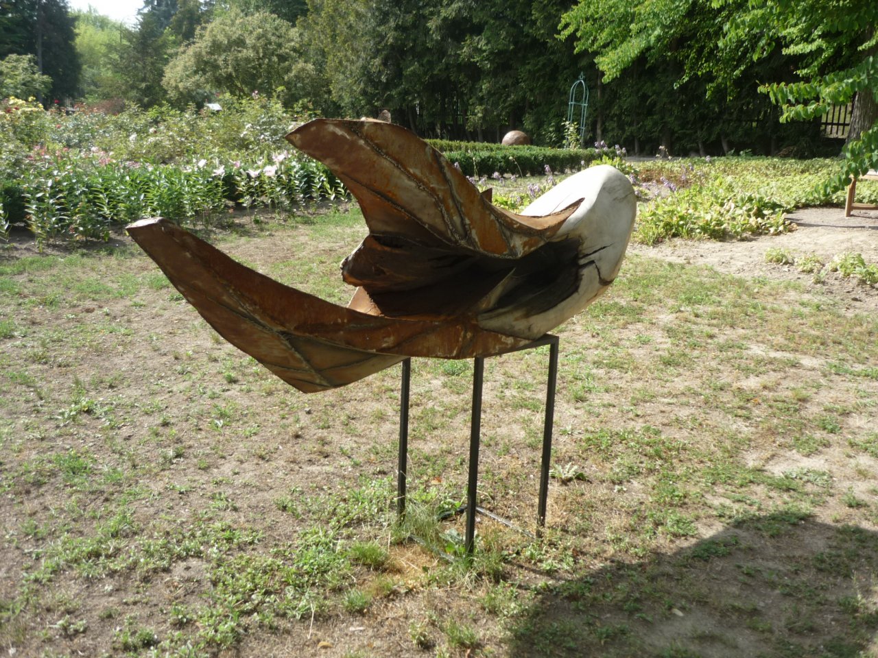 P1300697