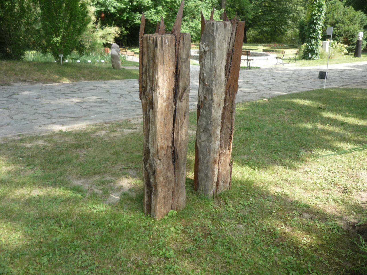 P1300699