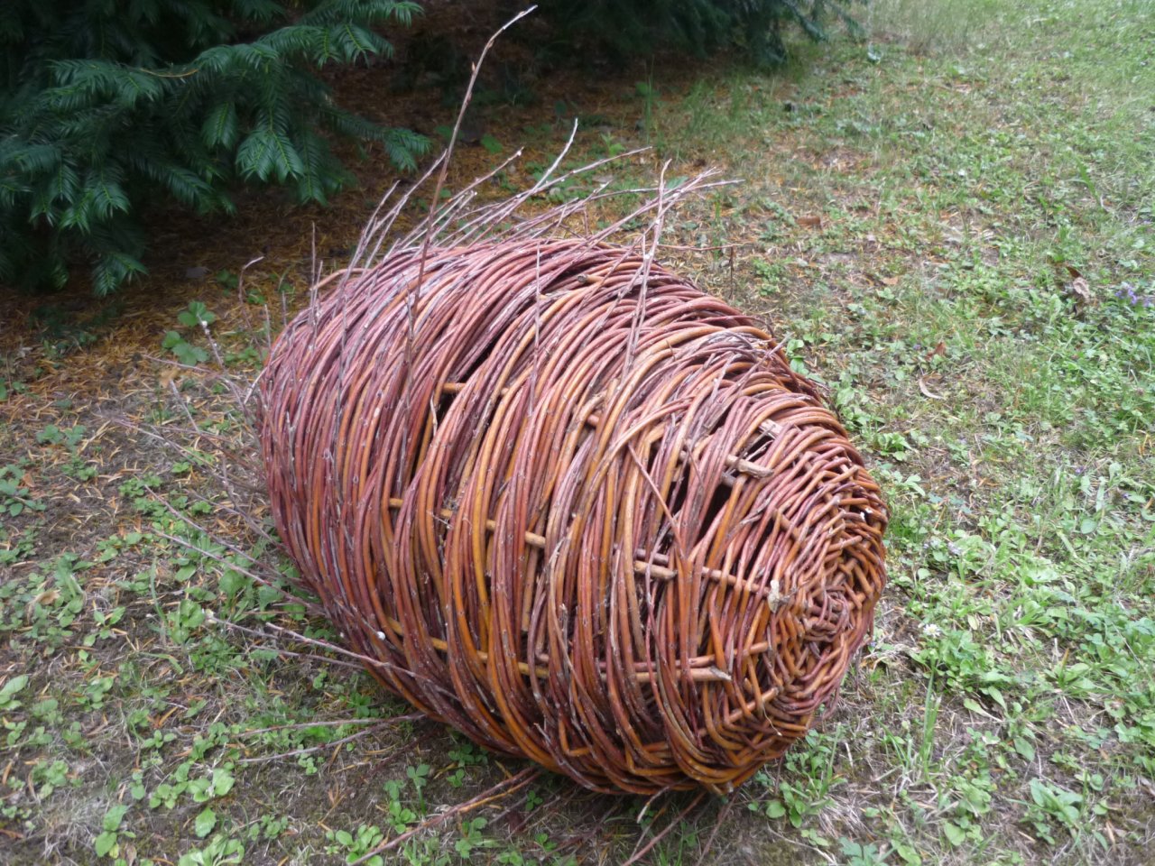 P1300712