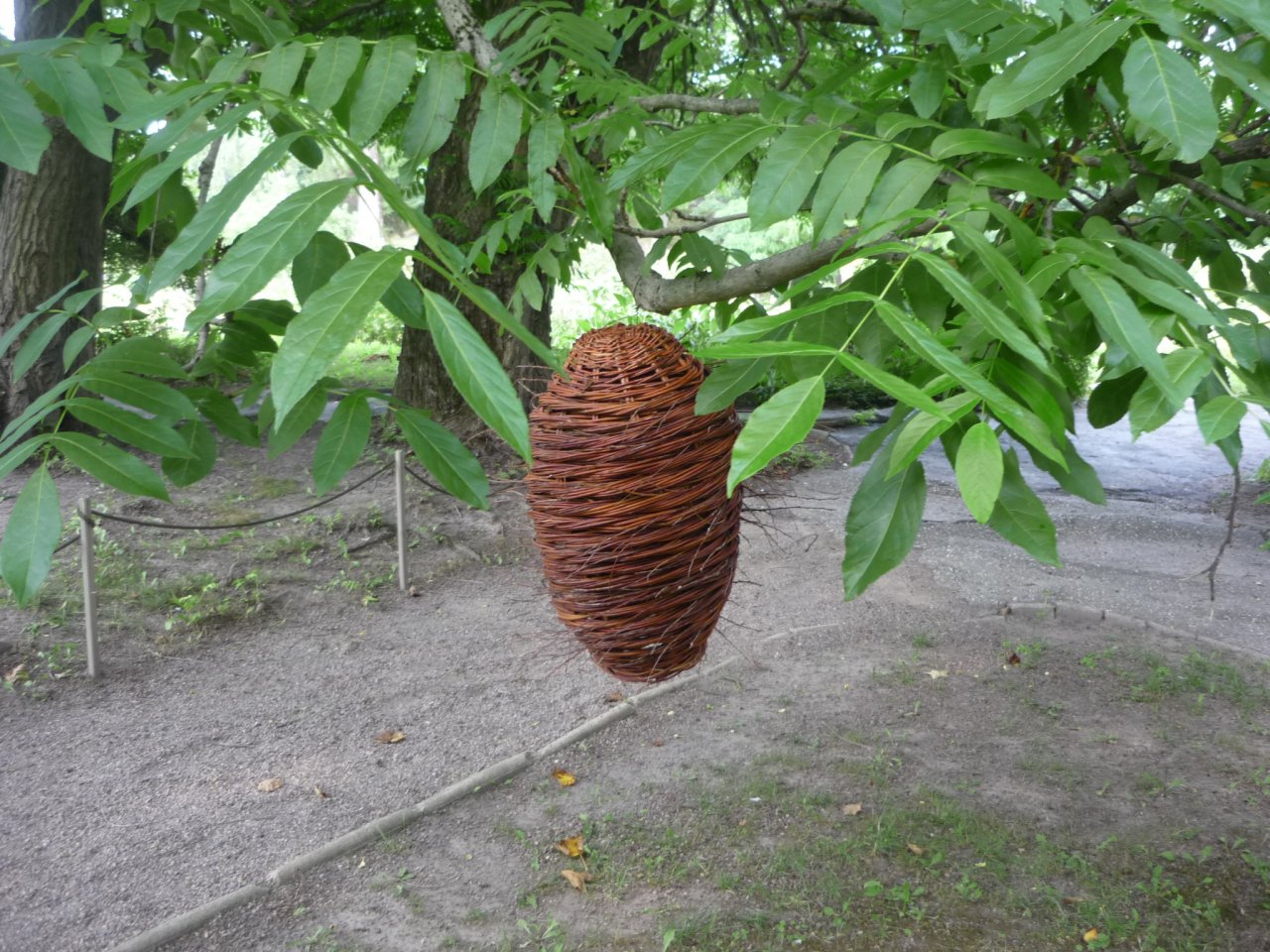 P1300724