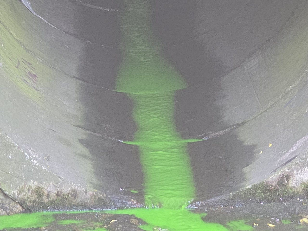 20260713_190344