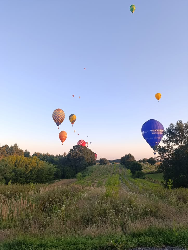 597715785_1705298813918087_3138118727270180026_n