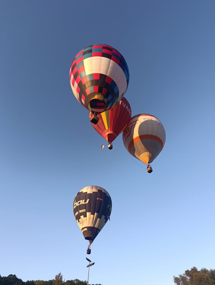 764064727_4586387504972096_1794997811729012625_n