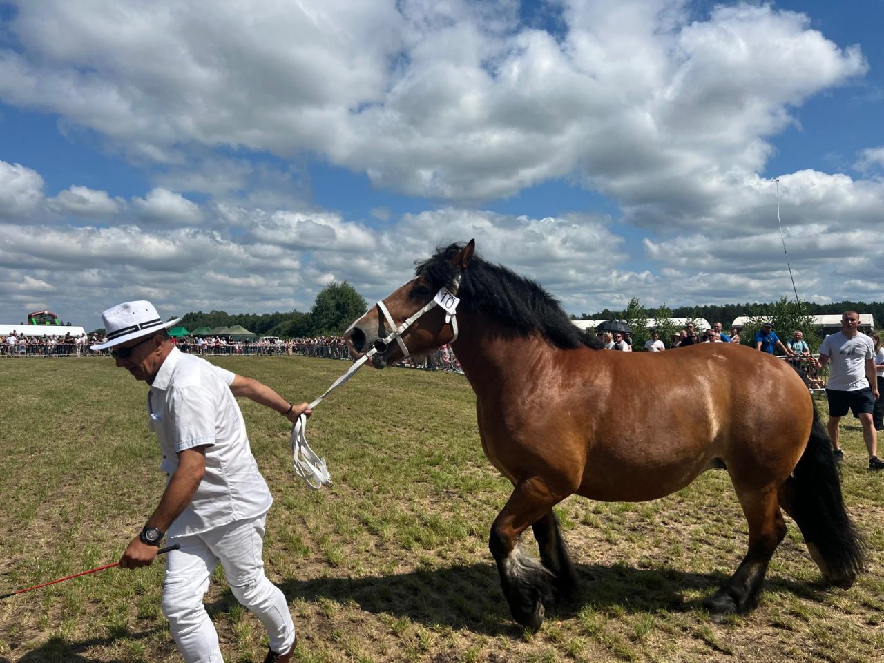IMG-20260802-WA0055
