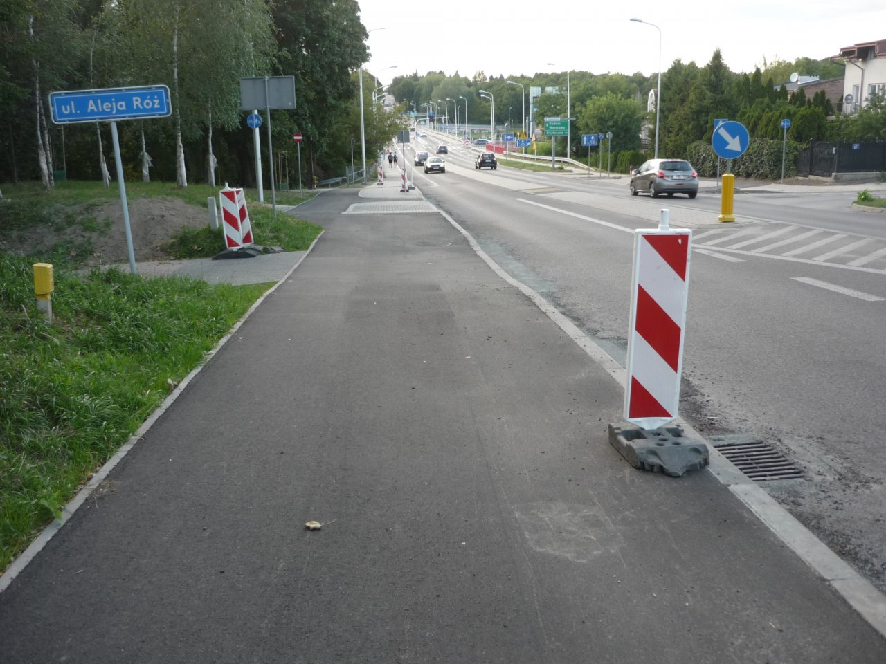 P1310175