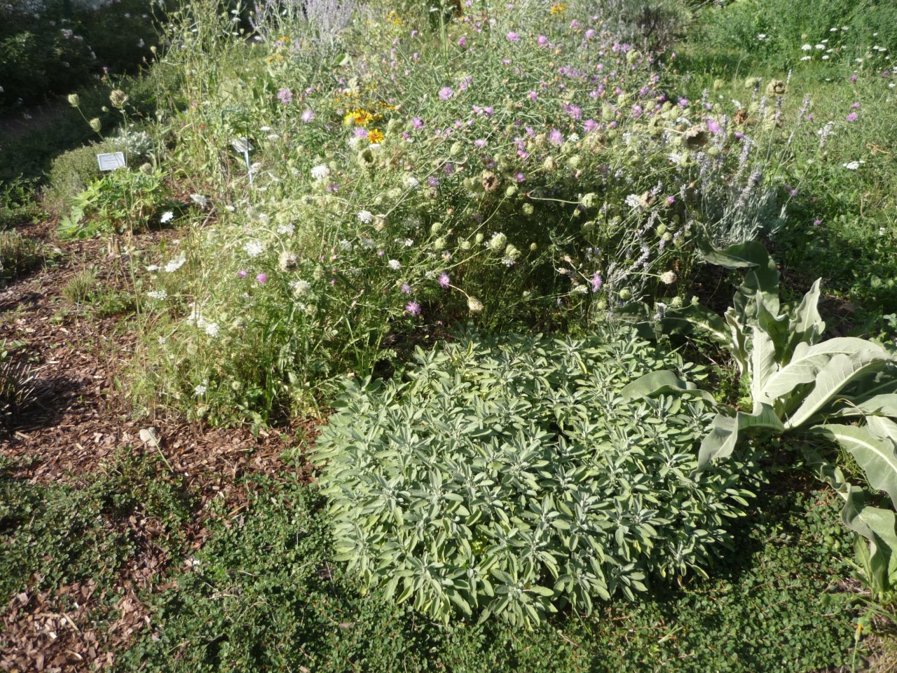 P1300944