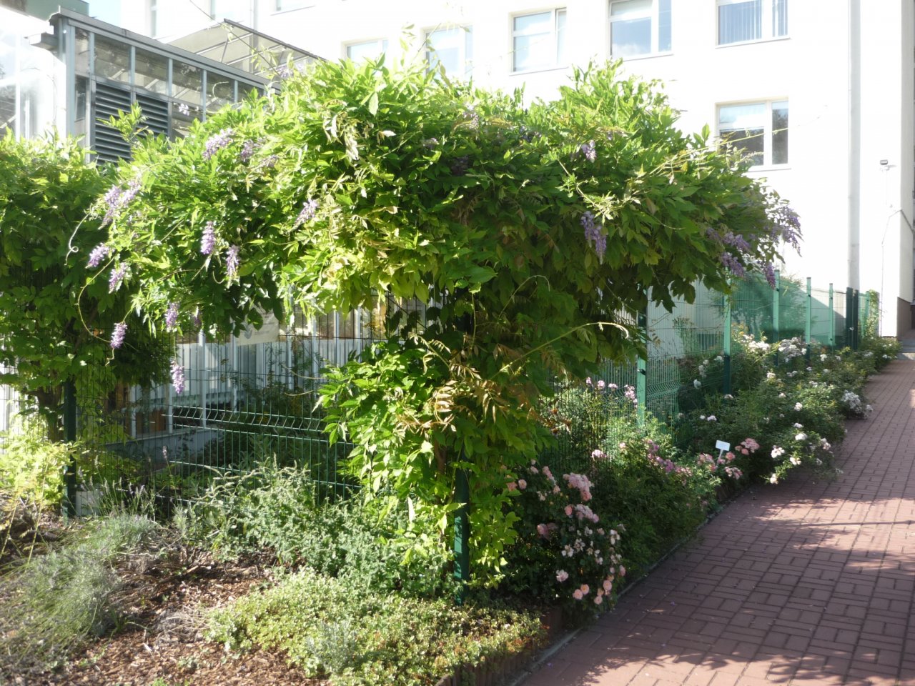 P1300946