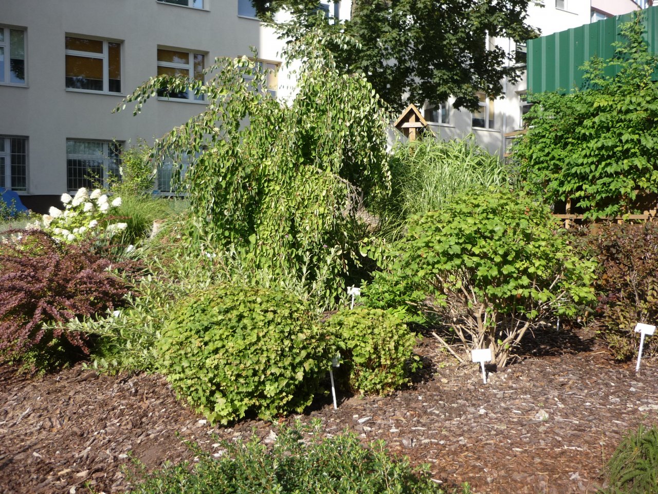 P1300958
