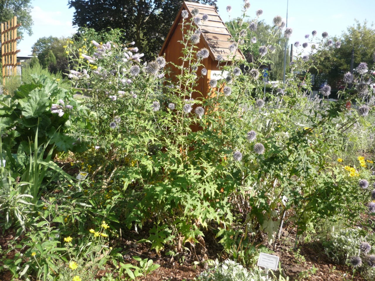 P1300960