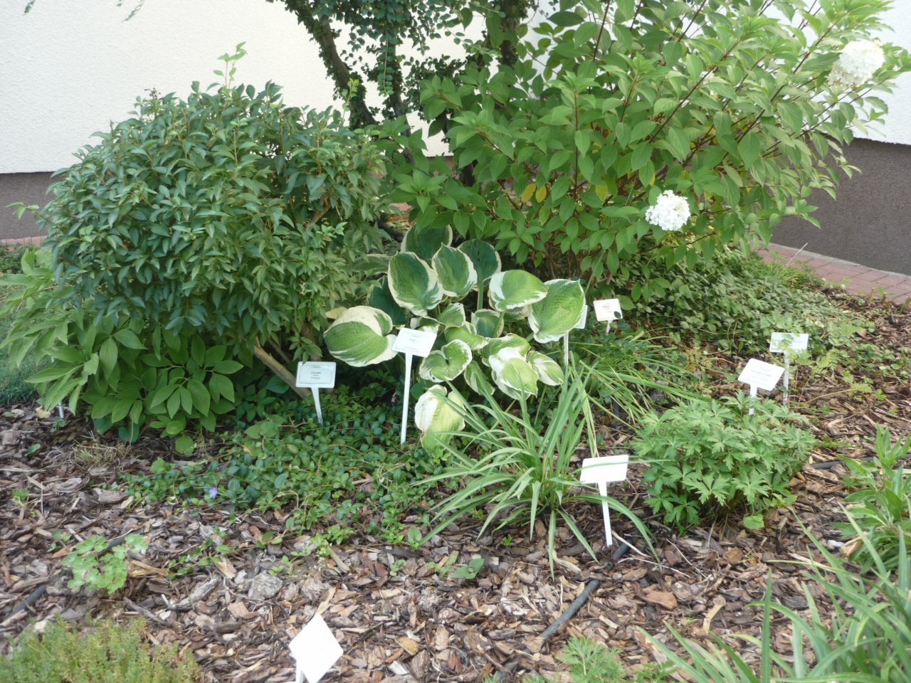 P1300970