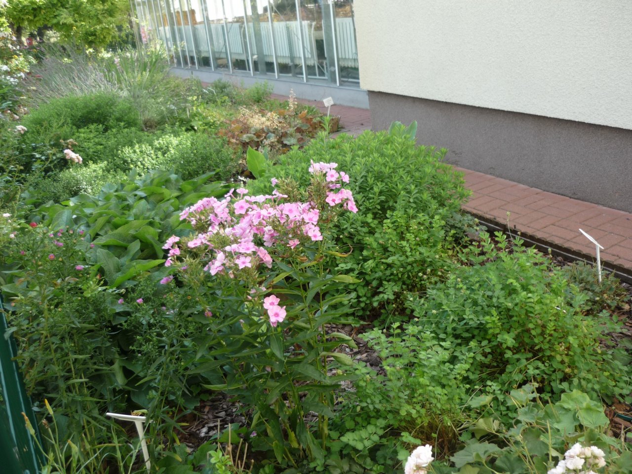 P1300973