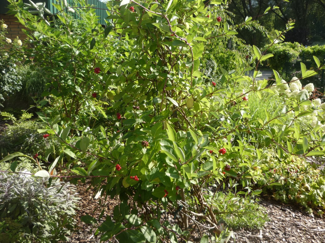 P1300976