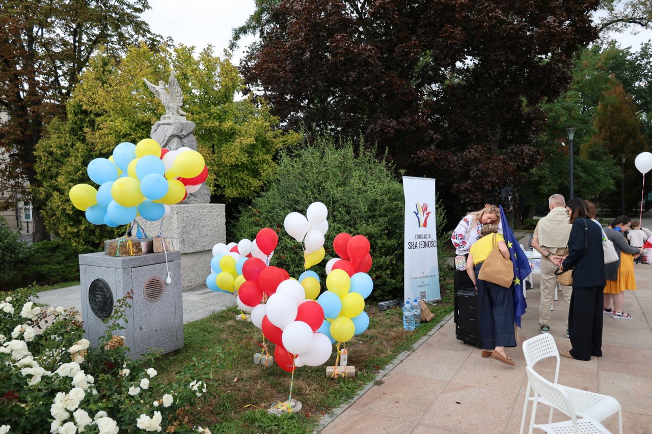 IN8A6142
