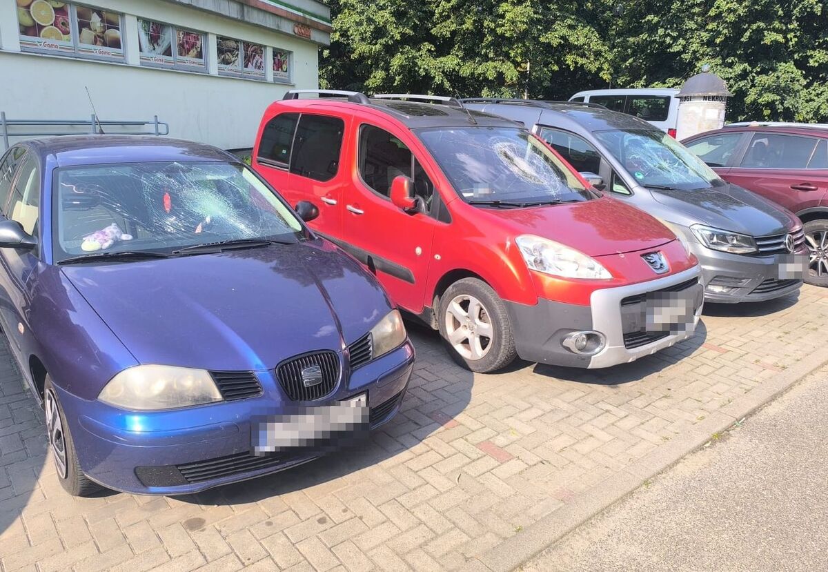 355-296321
