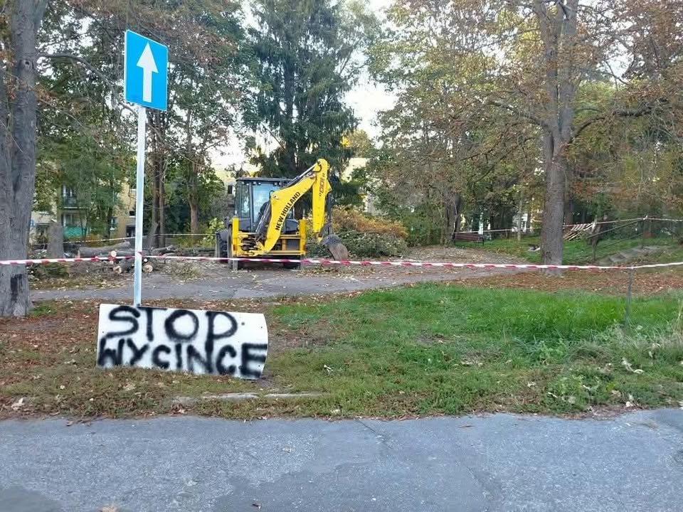 image-1933256124776309