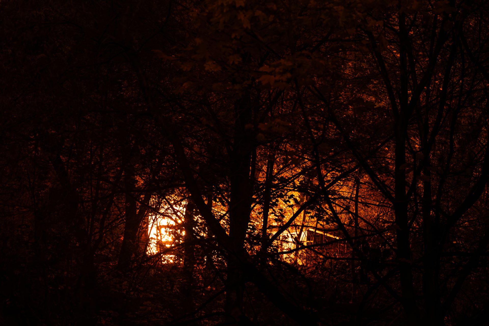 DSC01377-DxO_DeepPRIME-3